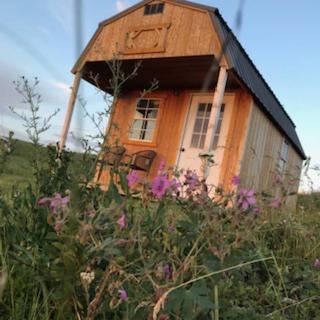 Montana Old West Cabins Guest House Babb Exterior foto